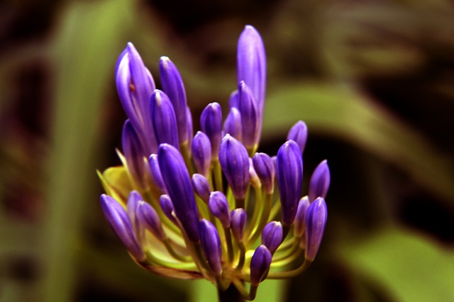 持续发展 持续发展