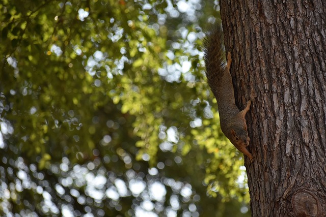 无球跑动 无球跑动