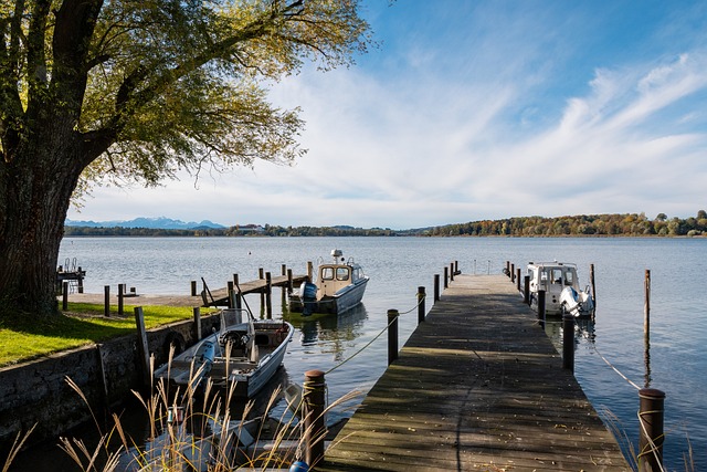 份大名单 份大名单