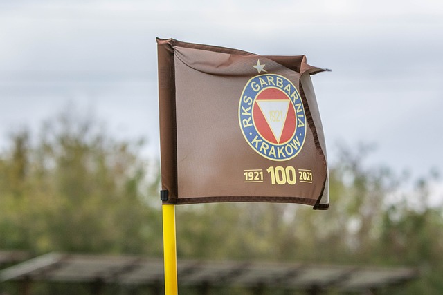 [速度滑冰]世界杯波兰站女子1000米韩梅获得亚军.