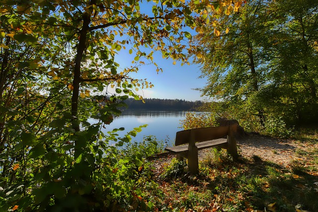 探索滑翔伞运动的魅力 🪂.