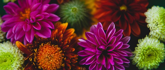 的新加坡大 的新加坡大